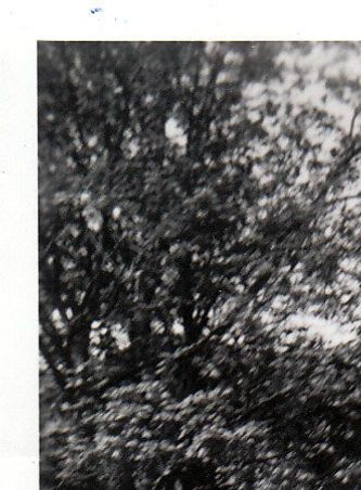 Familien samlet utenfor huset en solskinnsdag ca. 1950